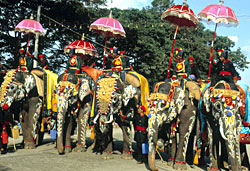 Dussera festival - Mysore
