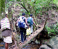 Kudure mukha