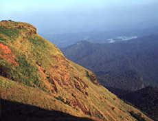 Kodachaadri