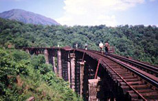 Green route