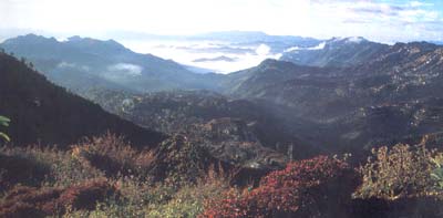 Mizoram