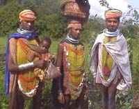Tribal In Orissa