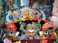 Jagannatha Deities In Ratha Yatra