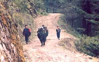 Trekking in Darjeeling