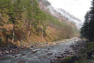 Binsar