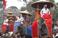 Elephant Festival