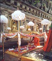 Bodhi Temple