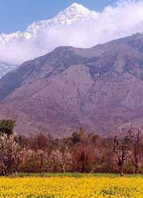 Kangra Valley