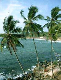 Kovalam Beach 