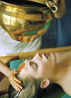 Therapeutic Programmes 