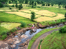 Slice of Konkan