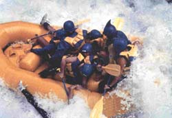 Water Sports In Chilika Lake