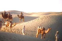 Thar Desert